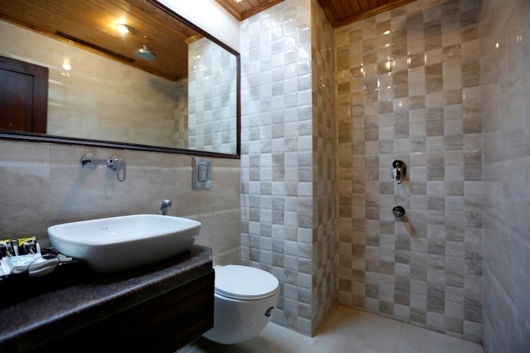 Hotel Shingar 24/35