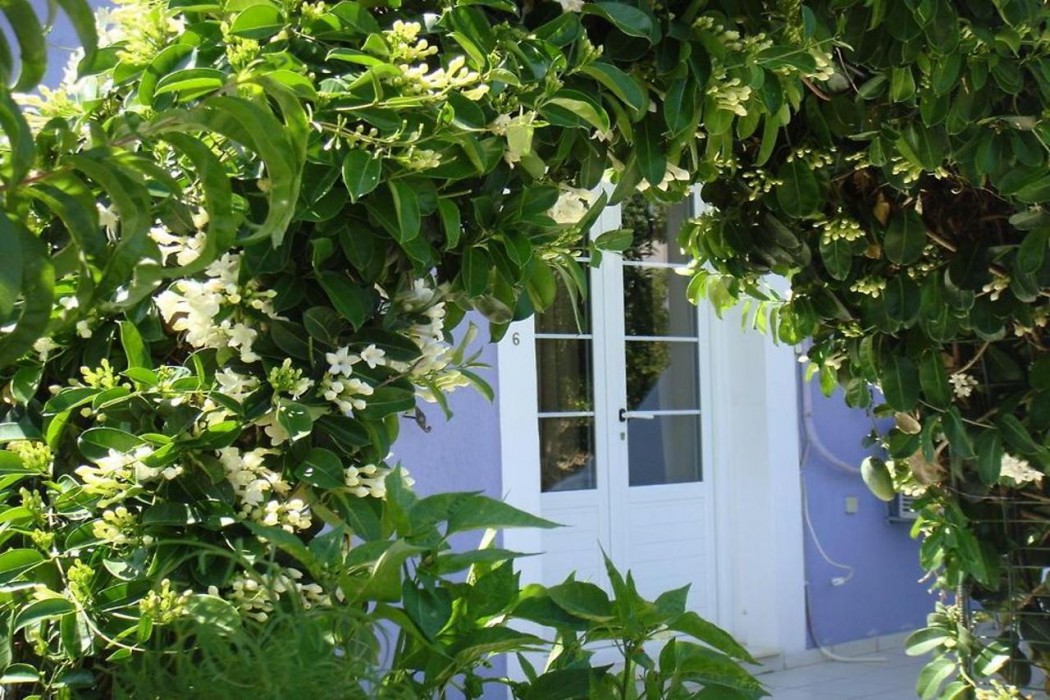 Villa Eliza 4/19