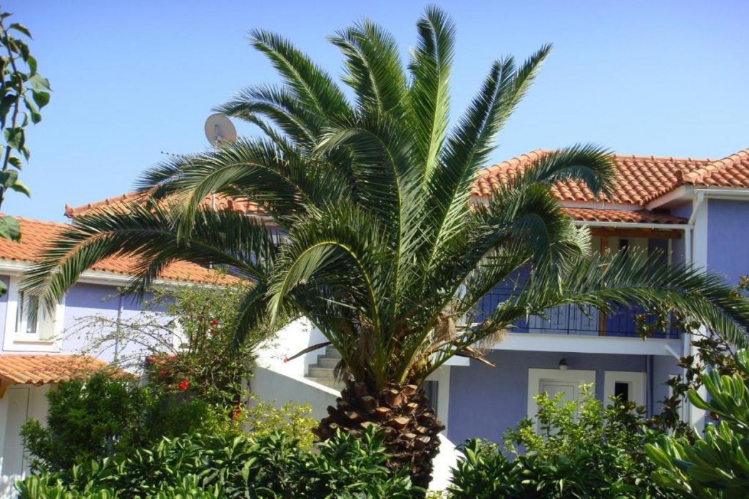 Villa Eliza 3/19