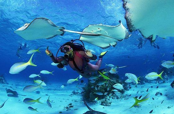 Furaveri Maldives 32/67