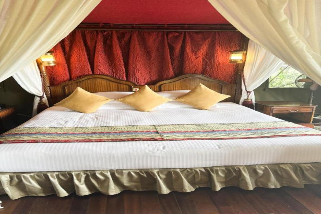Kirawira Serena Camp 4/39