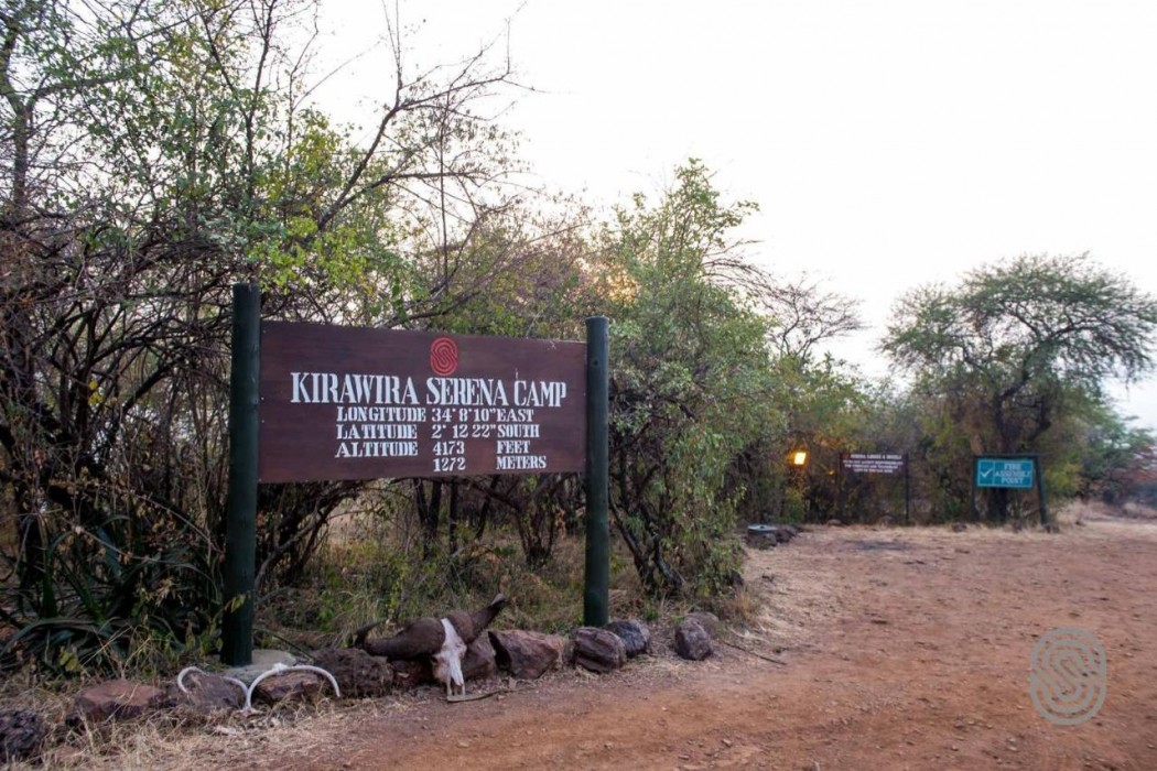 Kirawira Serena Camp 1/39