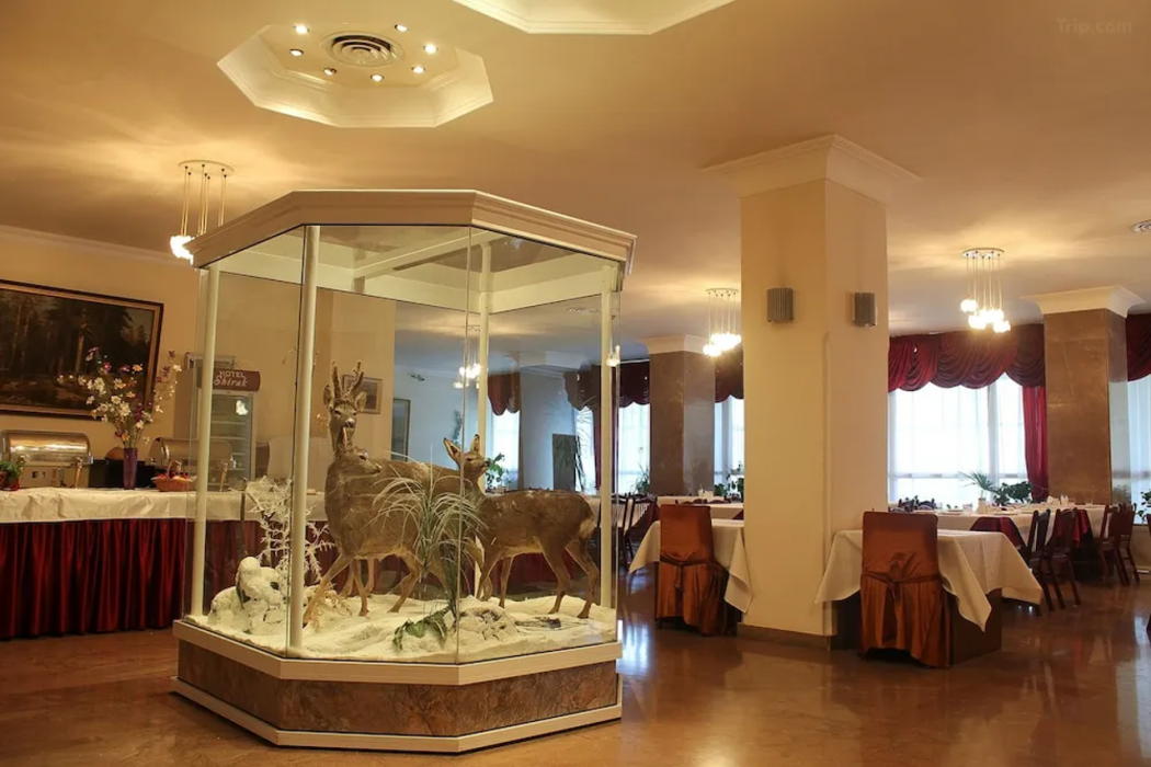 Hotel Shirak 6/26