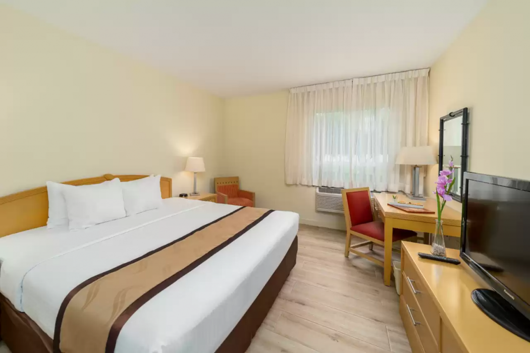Quality Hotel Real Aeropuerto 9/37