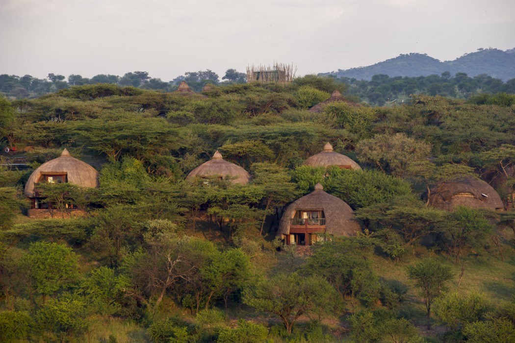 Serengeti Serena Safari Lodge 6/58