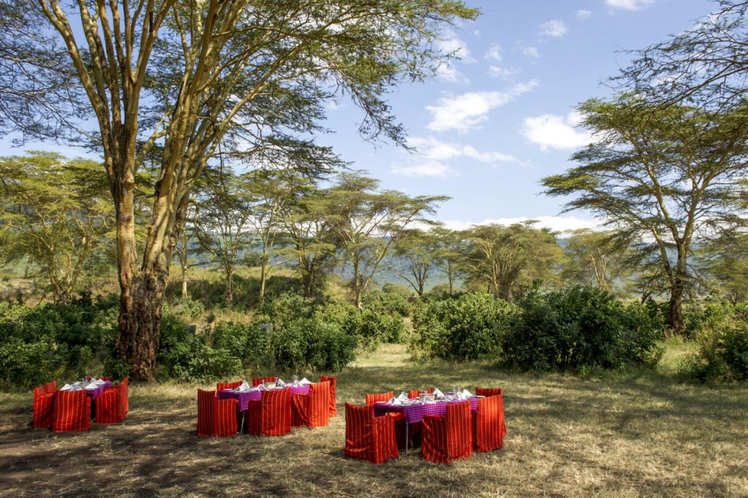 Ngorongoro Serena Safari Lodge 20/58