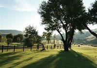 Drakensberg Gardens Golf & Spa Resort 38/79