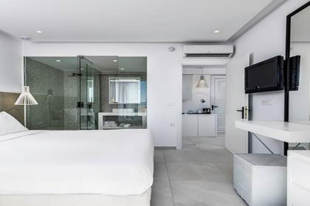 Dimitra Beach Hotel and Suites 31/76