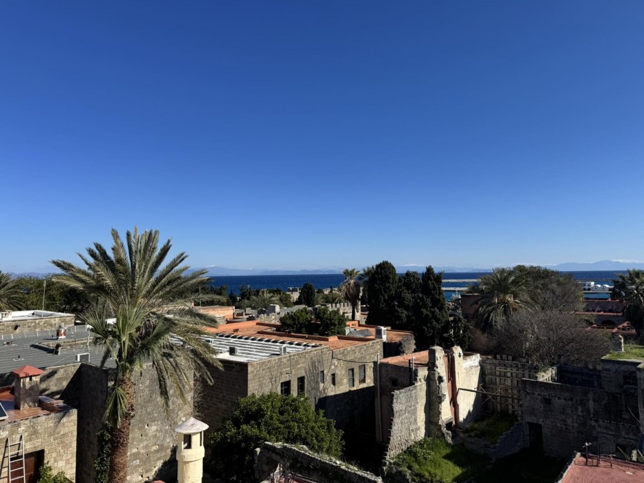 阿瓦隆精品酒店(Avalon Boutique Hotel Rhodes) 图片2