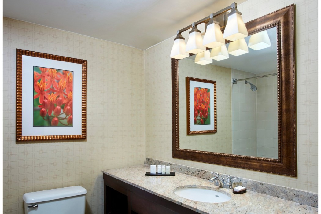 Embassy Suites By Hilton Parsippany 22/55