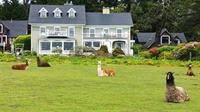 Glendeven Inn 7/57
