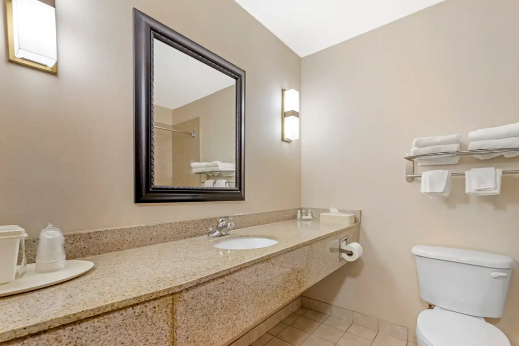 Quality Inn Raleigh Downtown 13/28