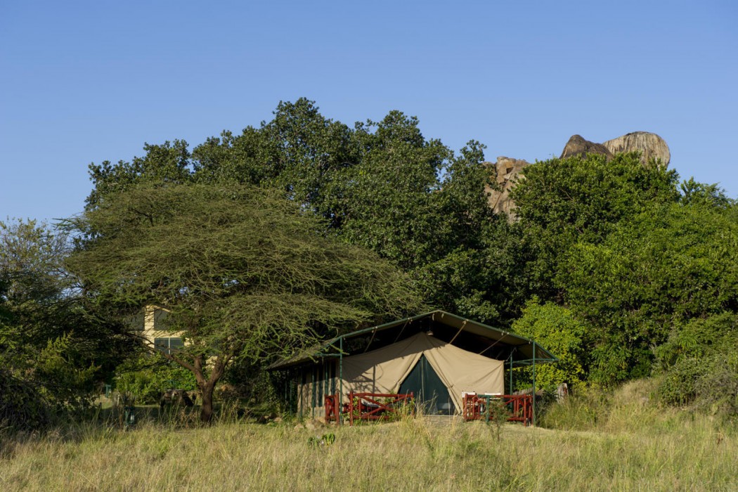 Mbuzi Mawe Serena Camp in SERENGETI NATIONAL PARK