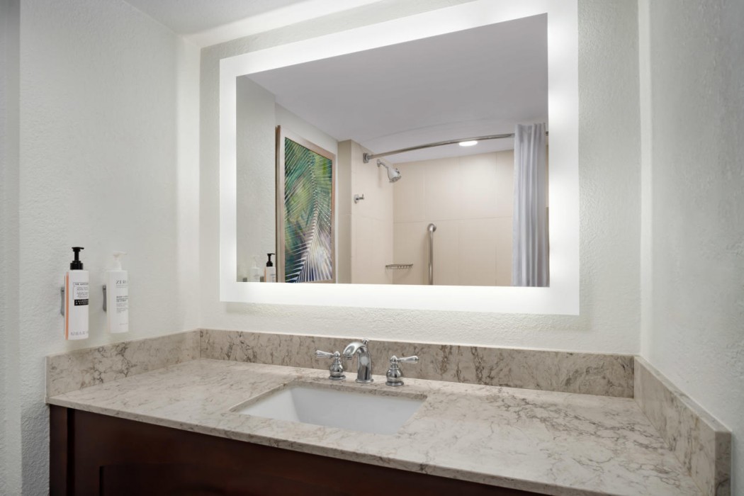 Embassy Suites by Hilton Orlando Lake Buena Vista Resort 99/100