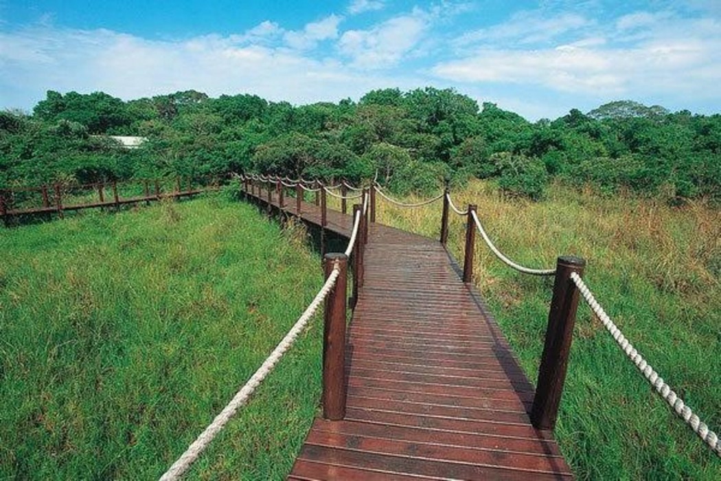 Makakatana Bay Lodge 45/84