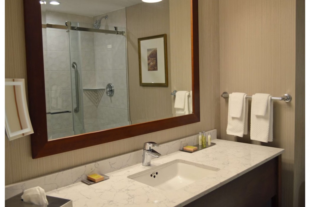 DoubleTree Fallsview Resort & Spa by Hilton - Niagara Falls 20/58