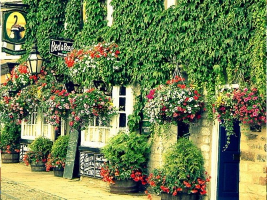 The Black Swan Hotel 33/67