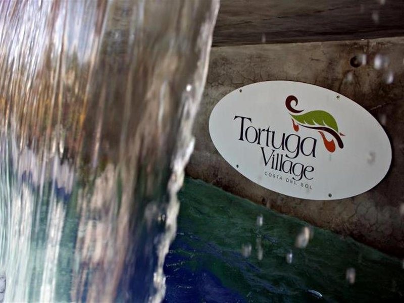 Tortuga Village Hotel 14/40
