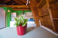 Mellow Youth Hostel 15/100