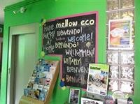Mellow Youth Hostel 55/100