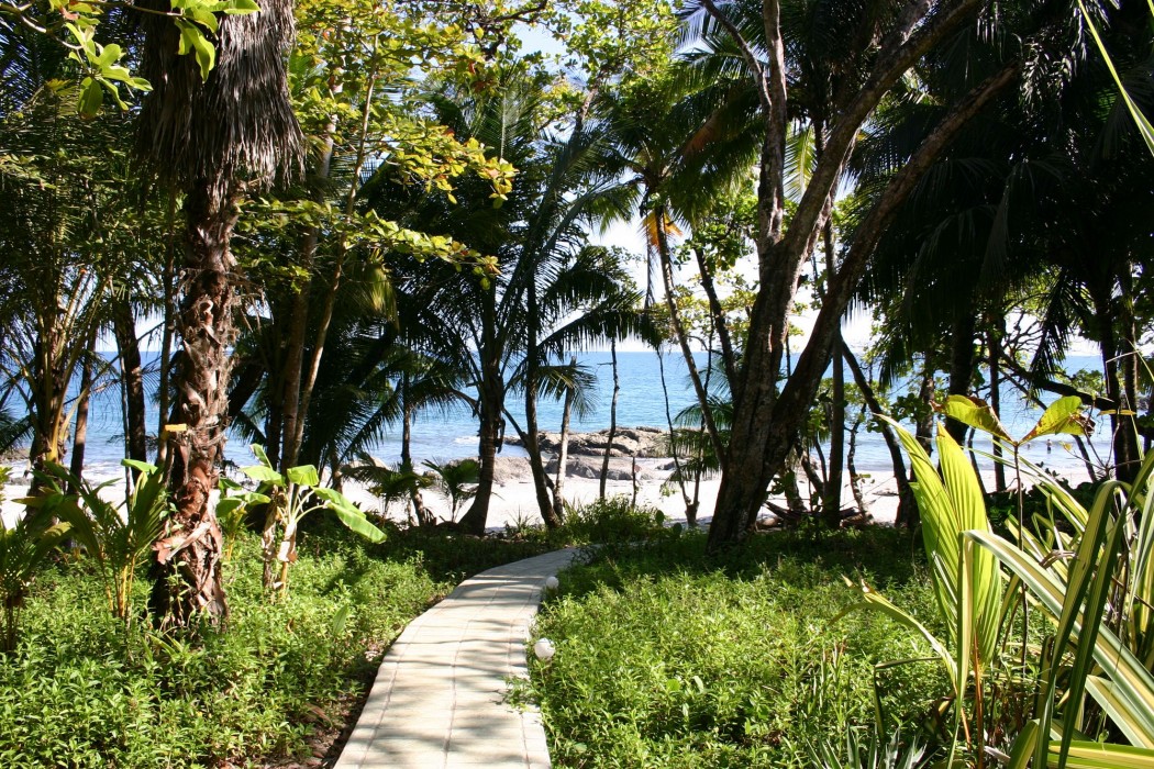 Ylang Ylang Beach Resort 20/78
