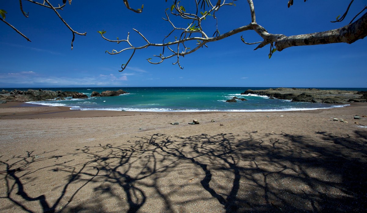 Ylang Ylang Beach Resort 33/78