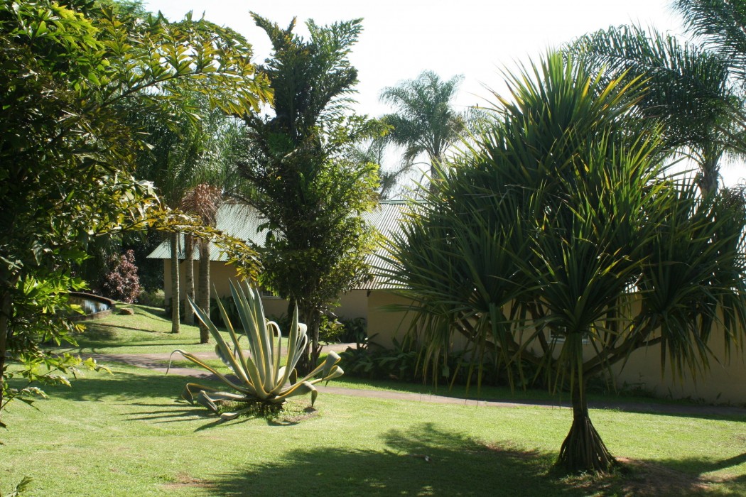 Nabana Lodge 34/51