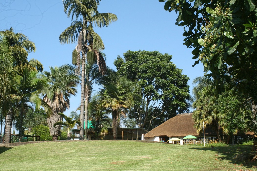 Nabana Lodge 10/51
