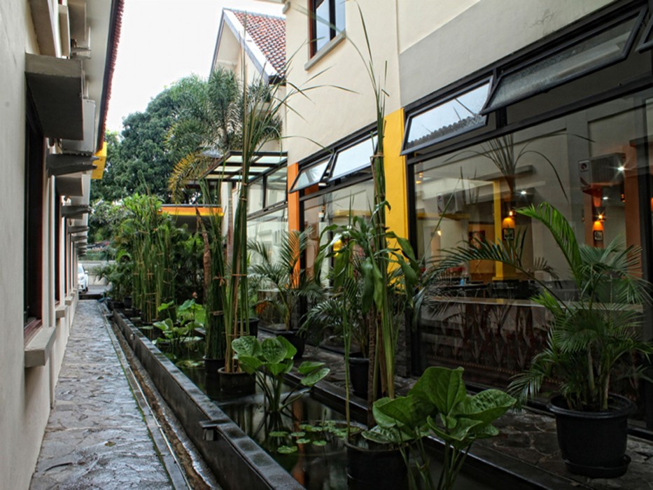 Collection O 295 Grha Ciumbuleuit Guest House 23/49