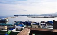 Ritz汽车旅馆& Pension(Ritz Motel & Pension) 图片3