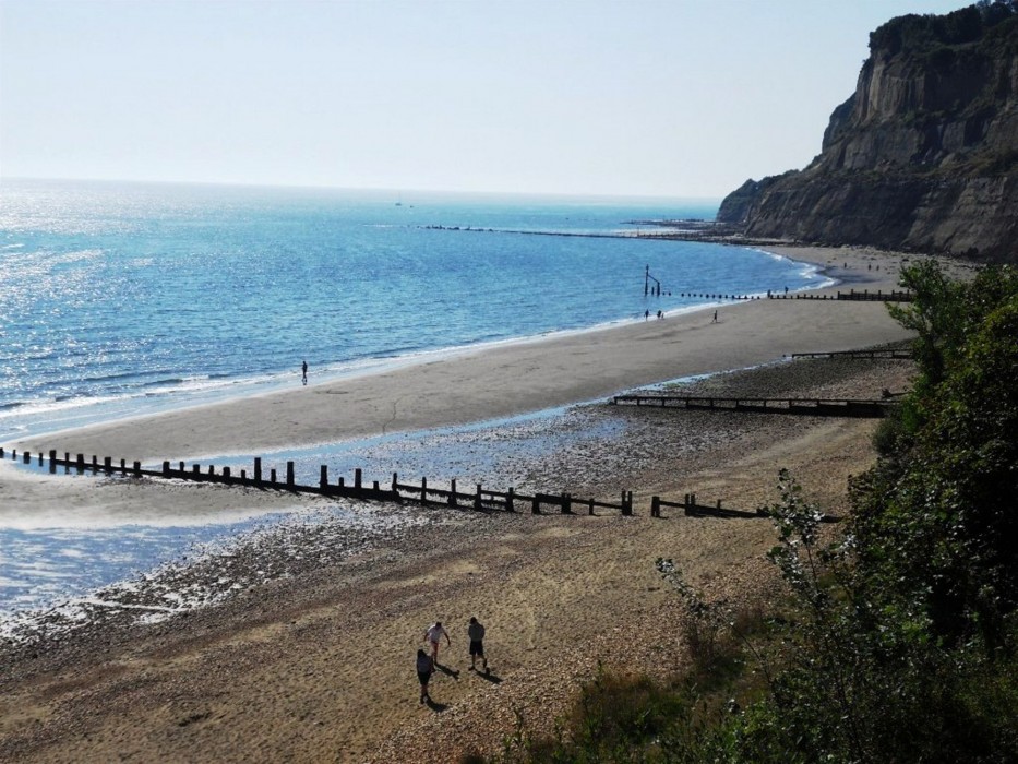 Luccombe Manor Country House Hotel 18/96