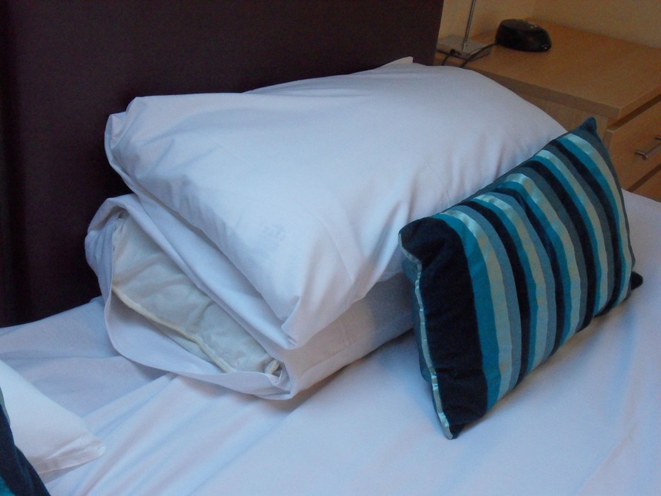 Luccombe Manor Country House Hotel 39/96