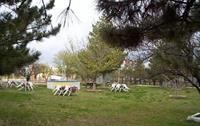 Yakut Hotel 23/50
