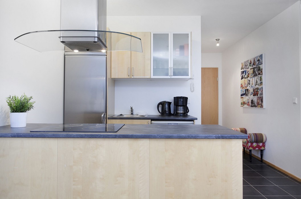 A PART OF REYKJAVIK APARTMENTS BRAUTARHOLT 44/100