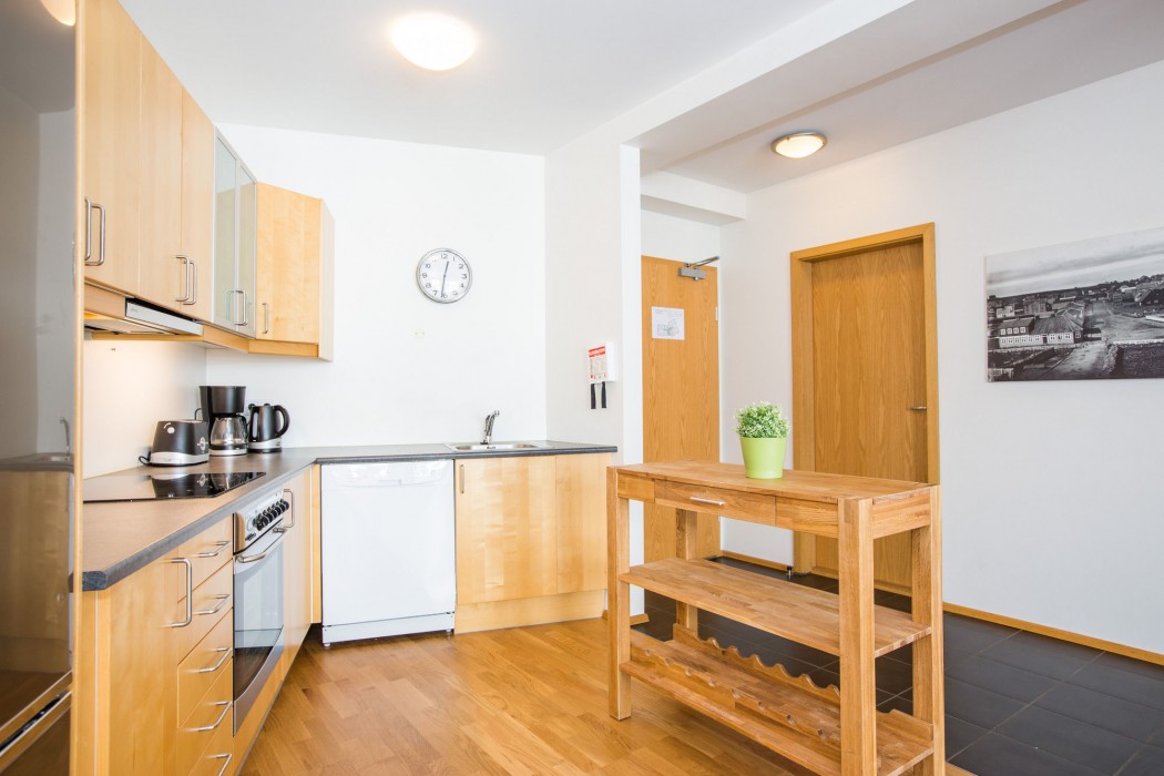A PART OF REYKJAVIK APARTMENTS BRAUTARHOLT 23/100