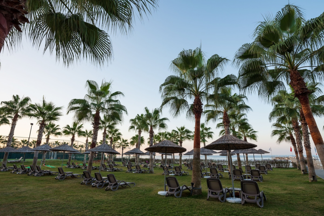 Rubi Platinum Spa Resort and Suites 36/72