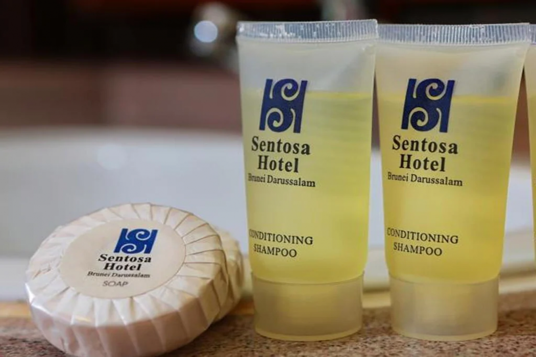 Hotel Santosa 15/27