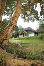 Maninghi Lodge 22/54