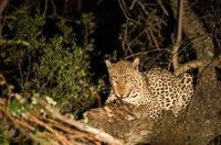 Maninghi Lodge 17/54