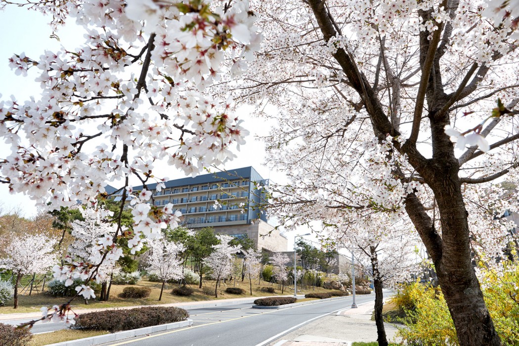 Gangdong Resort 16/58