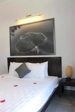 Hoi An Viet House Homestay 33/39