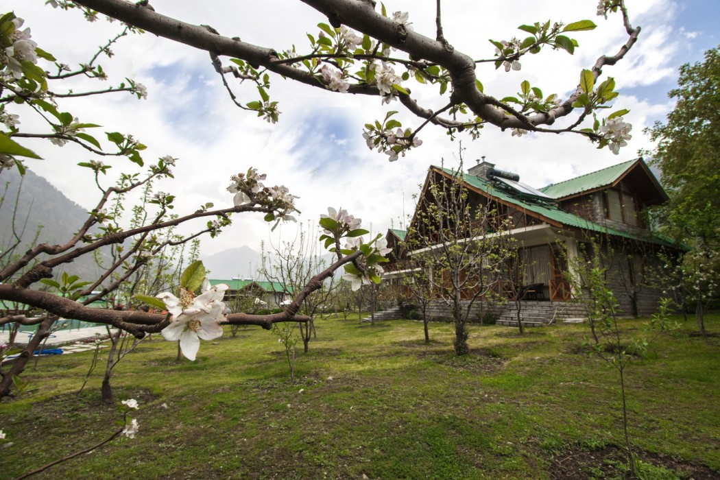 Larisa Resort Manali 74/114