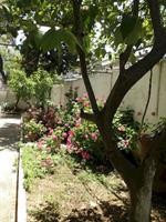 Filoxenia Hotel Skiathos 21/47
