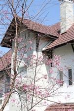 Hoang Loc Villa Hotel 18/46