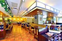 Apollo Hotel 47/83