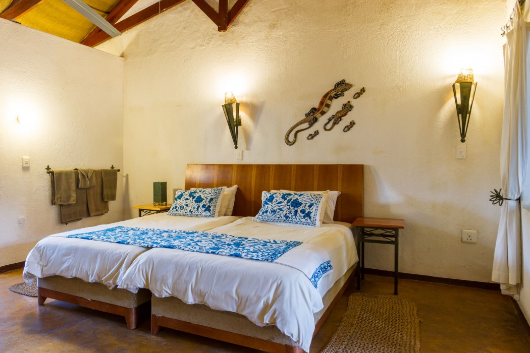 Gecko Lodge 61/86