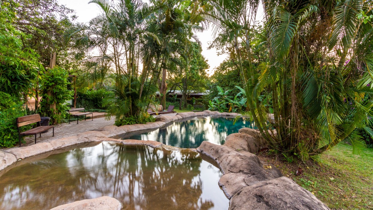 Gecko Lodge 33/86