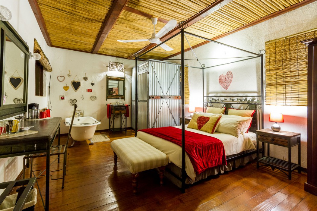 Gecko Lodge 60/86