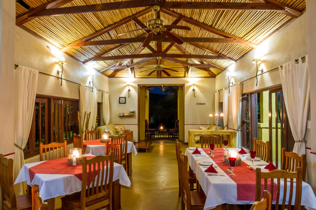 Gecko Lodge 36/86