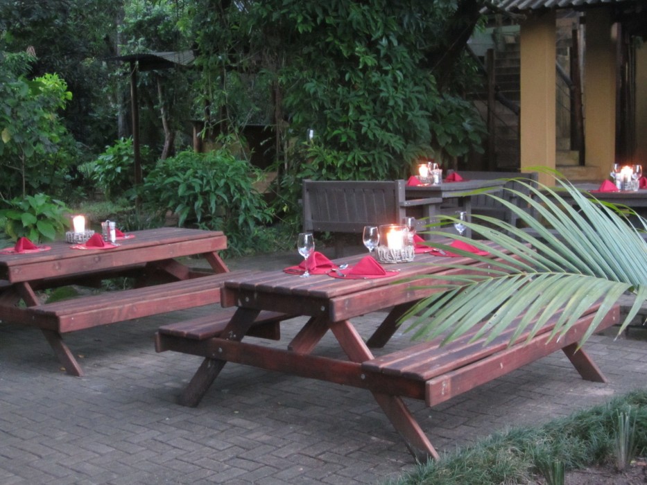 Gecko Lodge 39/86